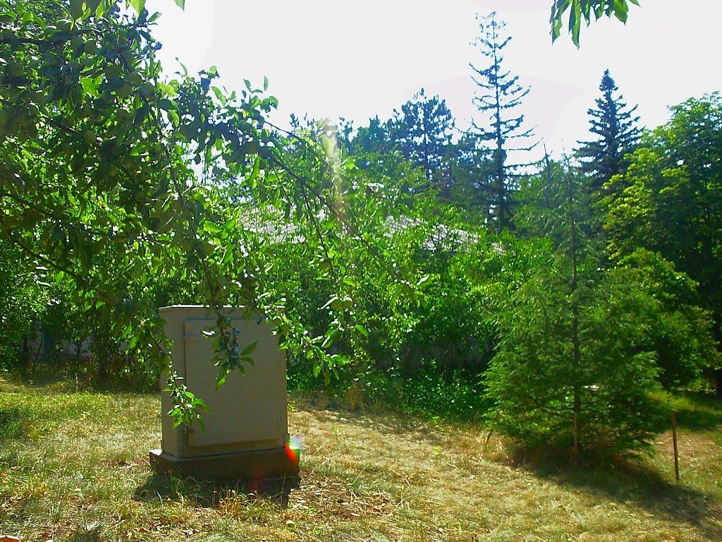 Научний з panoramio.com - Научний