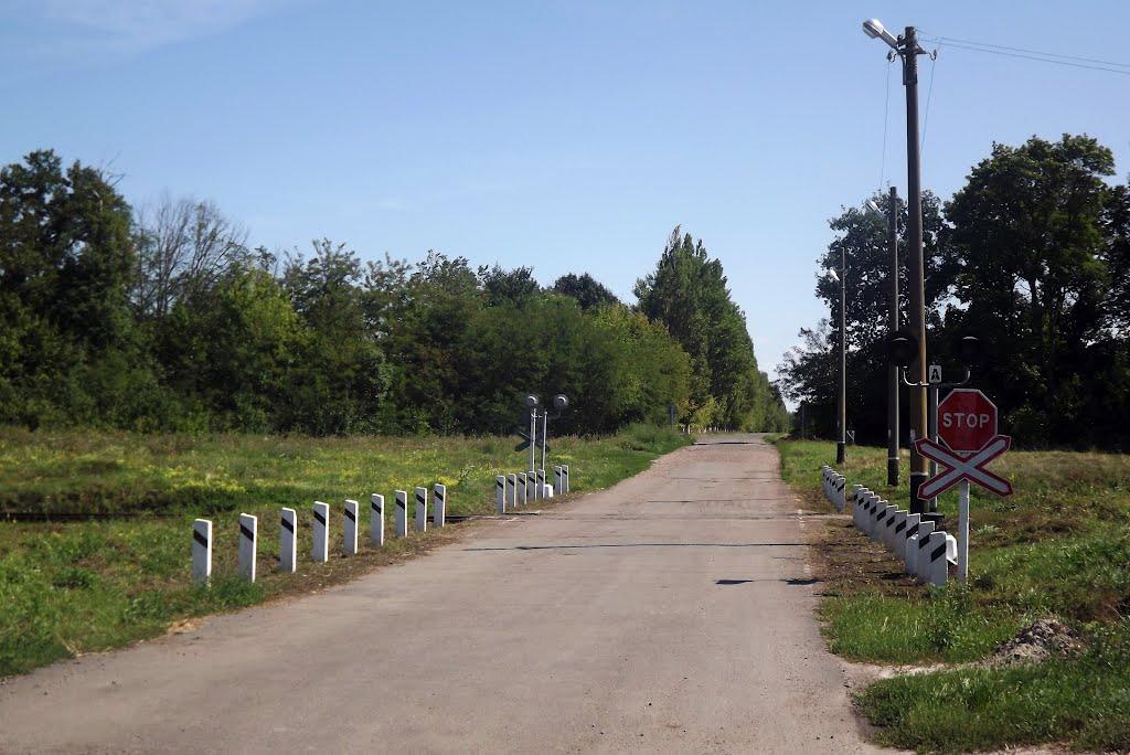 Новомиргород з panoramio.com - Новомиргород