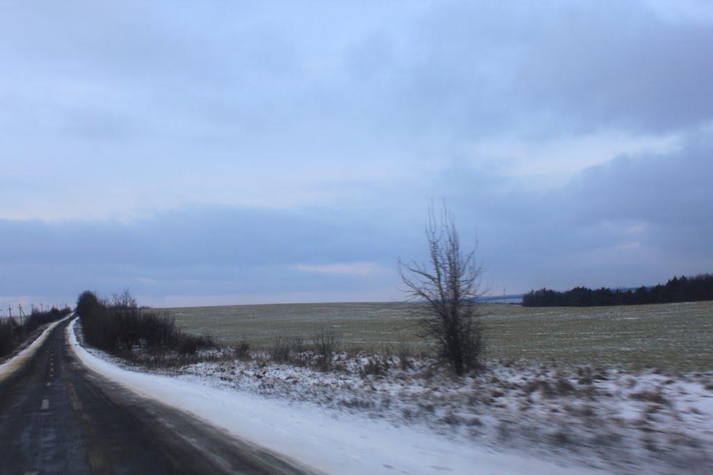 Ставки з panoramio.com - Ставки