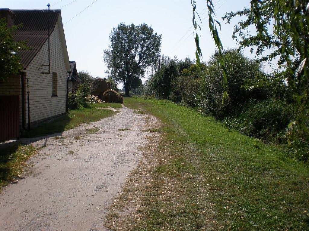 Облапи з panoramio.com - Облапи