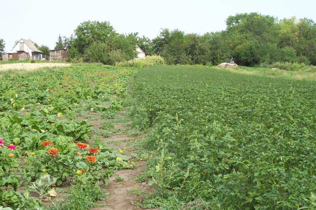 Лосятин з panoramio.com - Лосятин