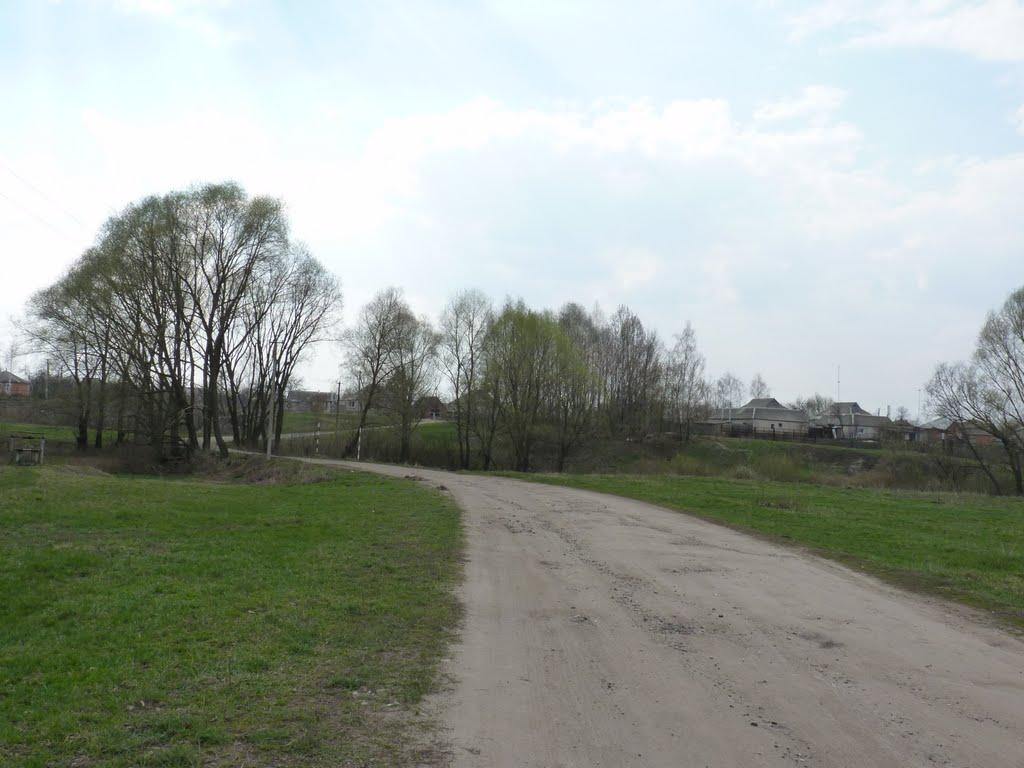 Мурафа з panoramio.com - Мурафа