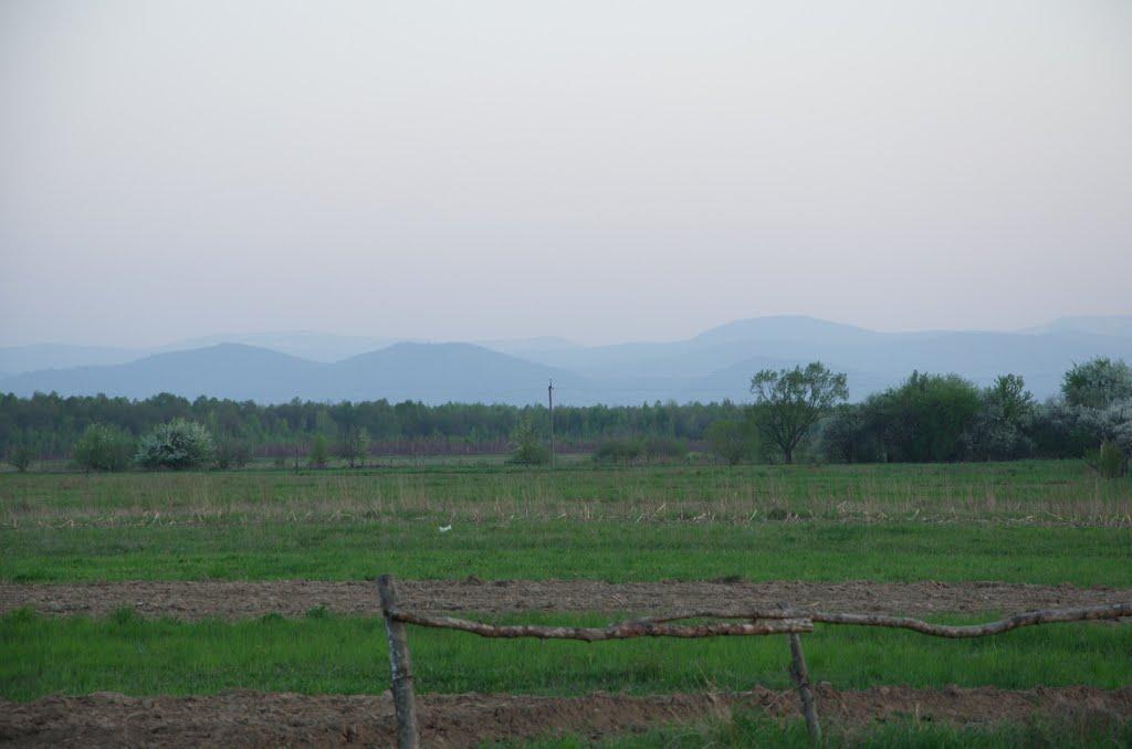 Волосів з panoramio.com - Волосів