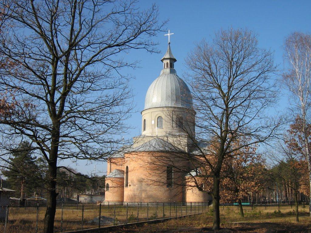 Соснівка з panoramio.com - Соснівка