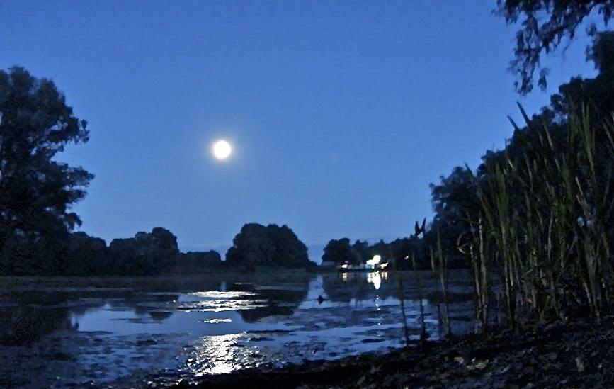 Свидівок з panoramio.com - Свидівок