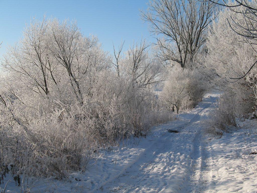 Семенівка з panoramio.com - Семенівка