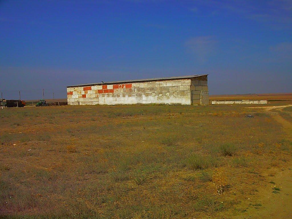 Кочергіне з panoramio.com - Кочергино