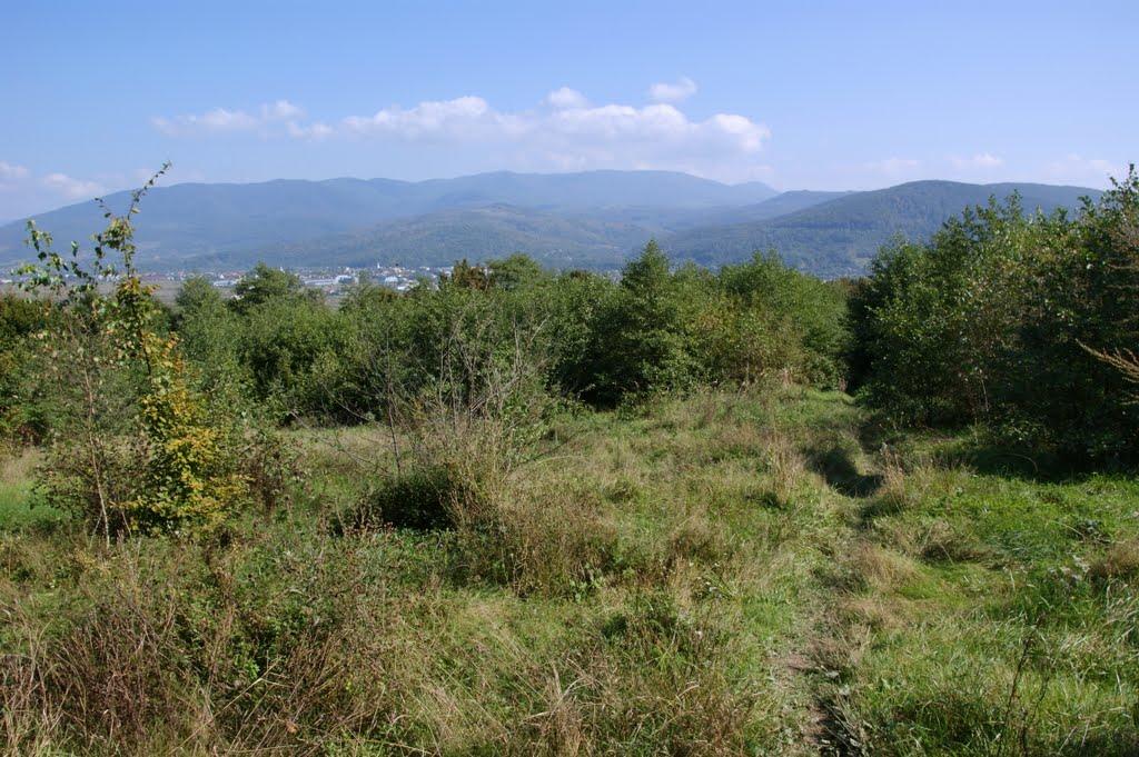 Малий Березний з panoramio.com - Малий Березний