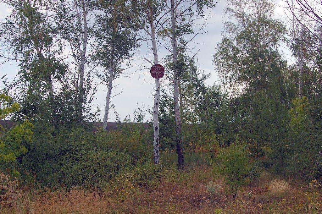 Суровцівка з panoramio.com - Суровцевка