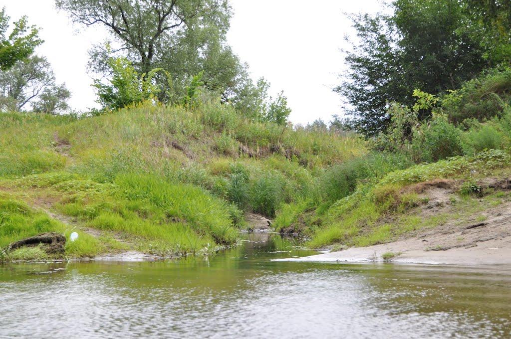 Лукищина з panoramio.com - Лукищина