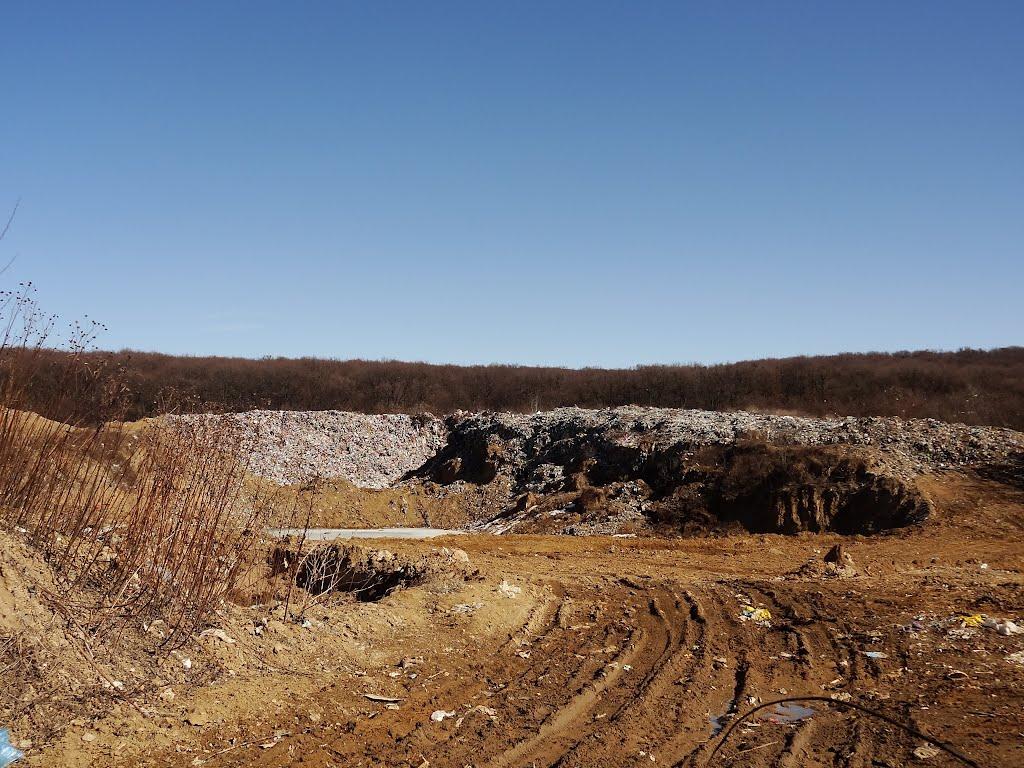 Барвінок з panoramio.com - Барвінок