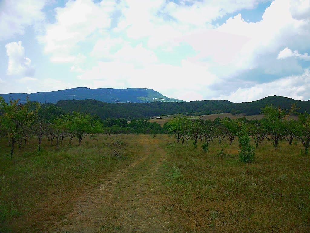 Голубинка з panoramio.com - Голубинка