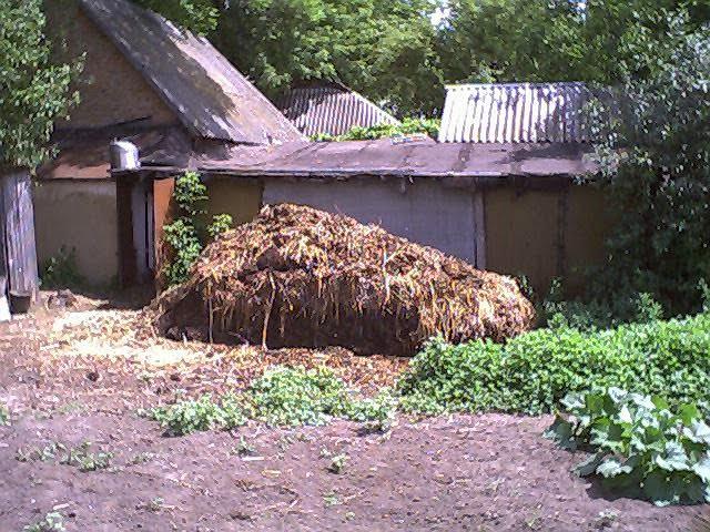 Житники з panoramio.com - Житники