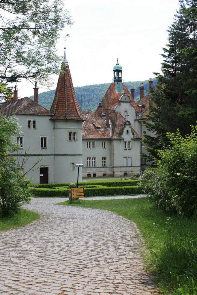 Карпати з panoramio.com - Карпаты