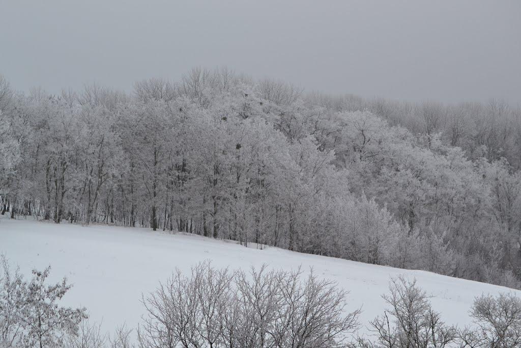 Великі Будища з panoramio.com - Velyki Budyscha