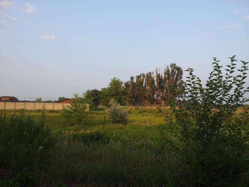 Станично-Луганське з panoramio.com (ч.2) - Станично-Луганське