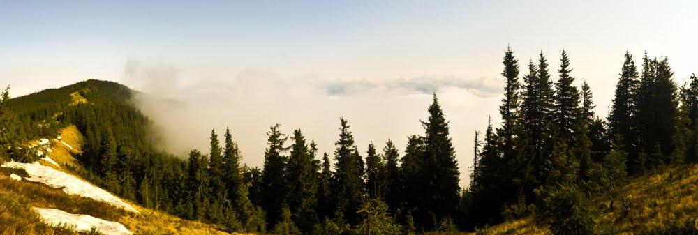 Кривопілля з panoramio.com - Кривопілля