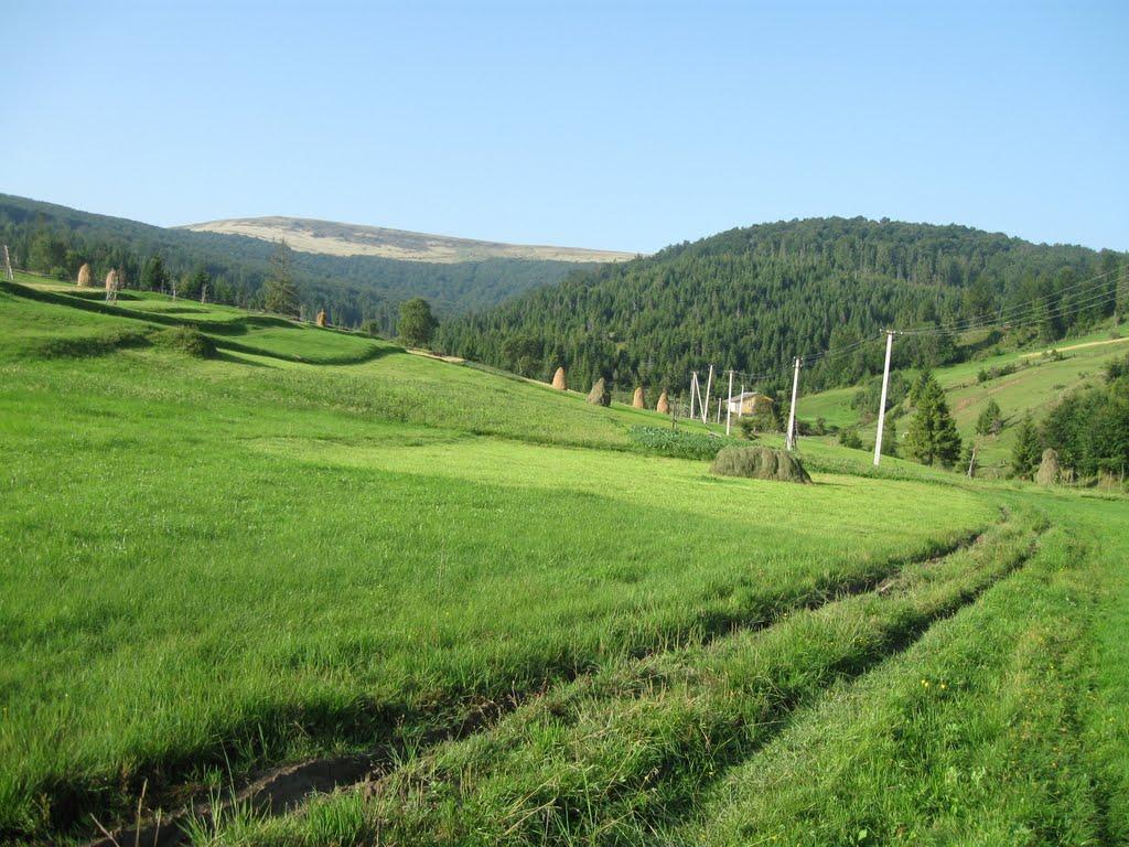 Либохора з panoramio.com - Либохора