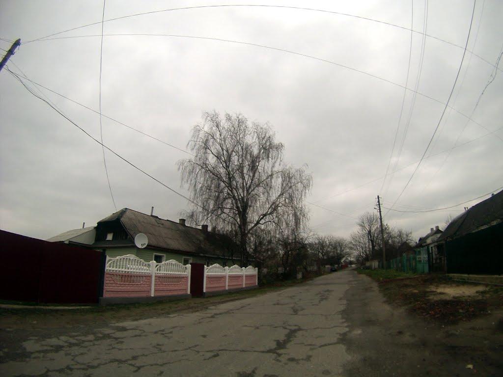 Новоград-Волинський з panoramio.com (ч.3) - Новоград-Волинський