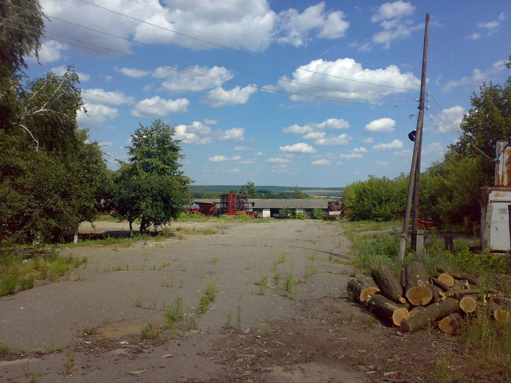 Дмитрашківка з panoramio.com - Дмитрашківка