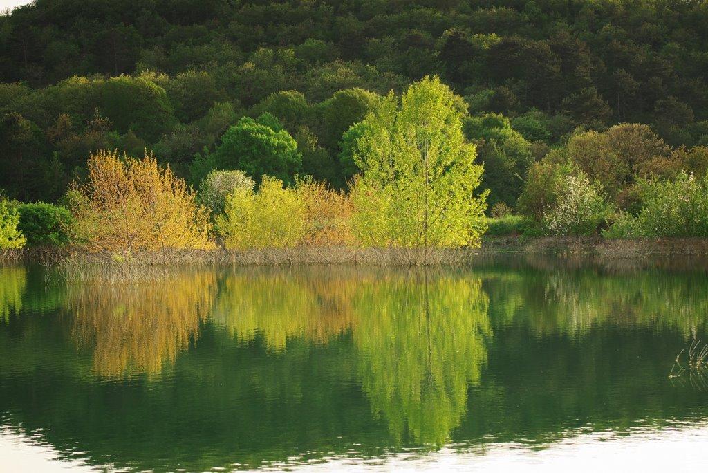 Велике Садове з panoramio.com - Большое Садовое
