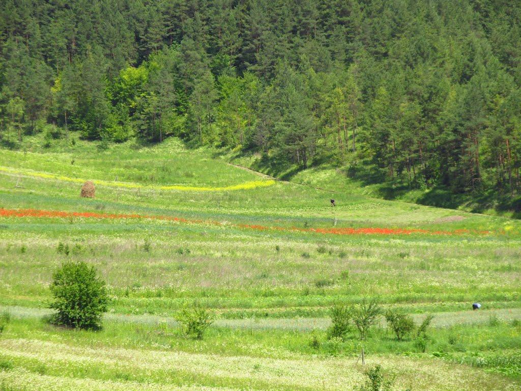 Маркова з panoramio.com - Маркова