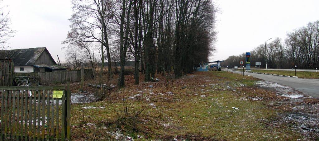 Топчіївка з panoramio.com - Топчіївка