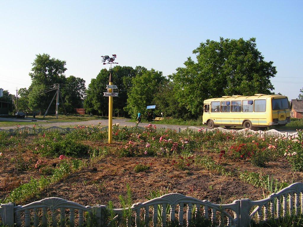 Гавришівка з panoramio.com - Гавришівка