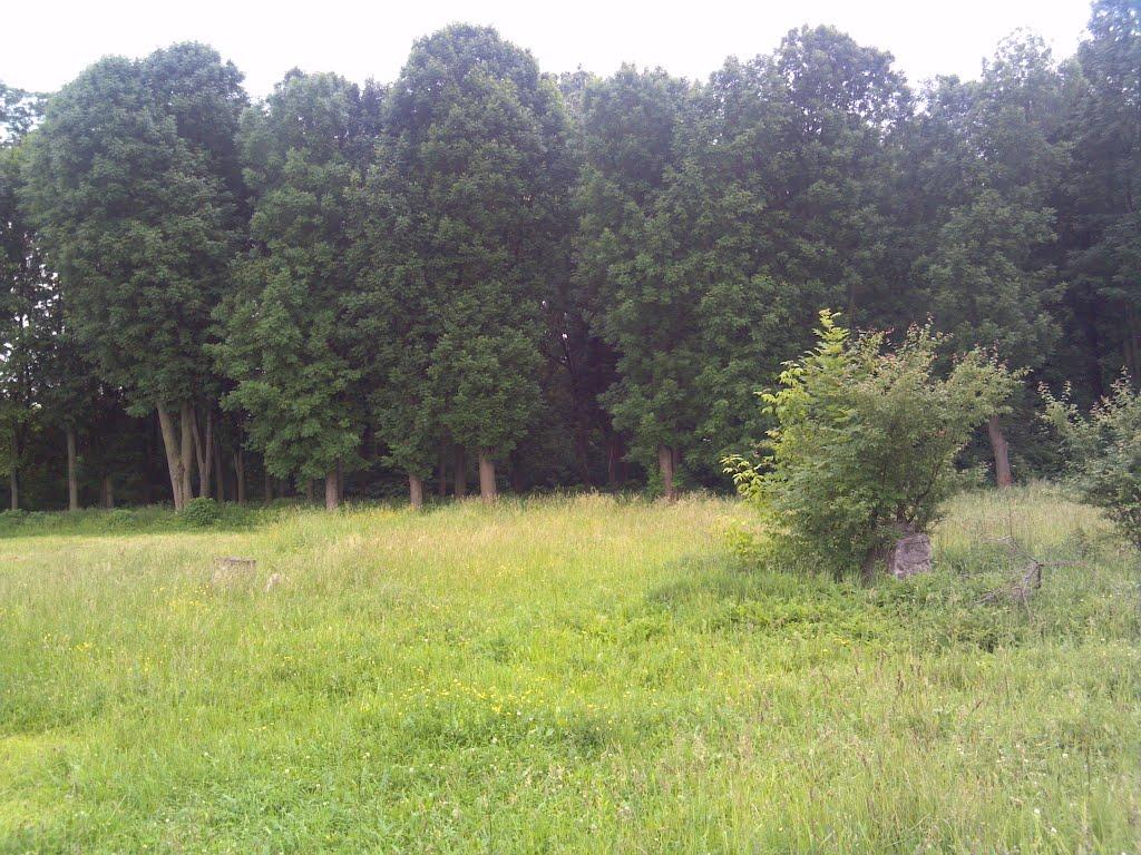 Винники з panoramio.com - Винники