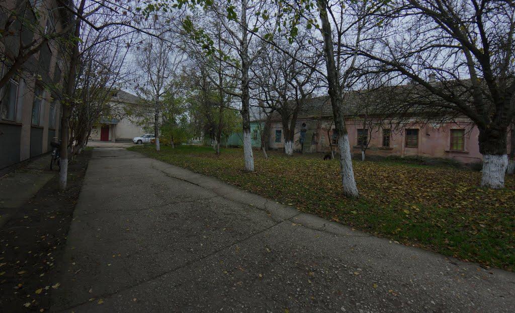 Роздольне з panoramio.com - Роздольне