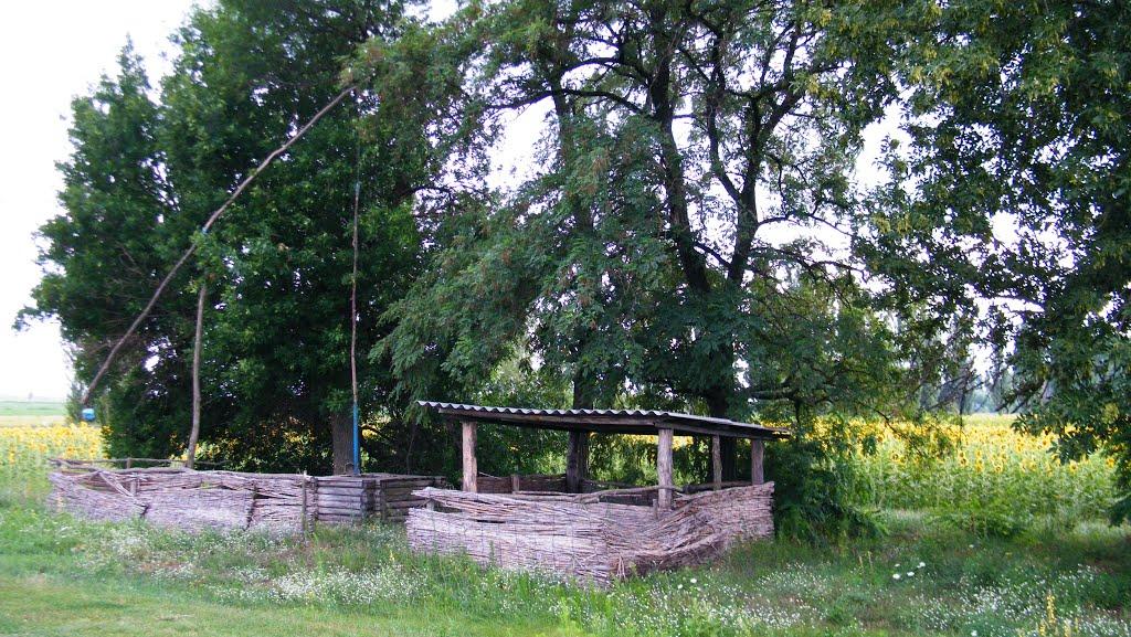 В'язівка з panoramio.com - Вязовка