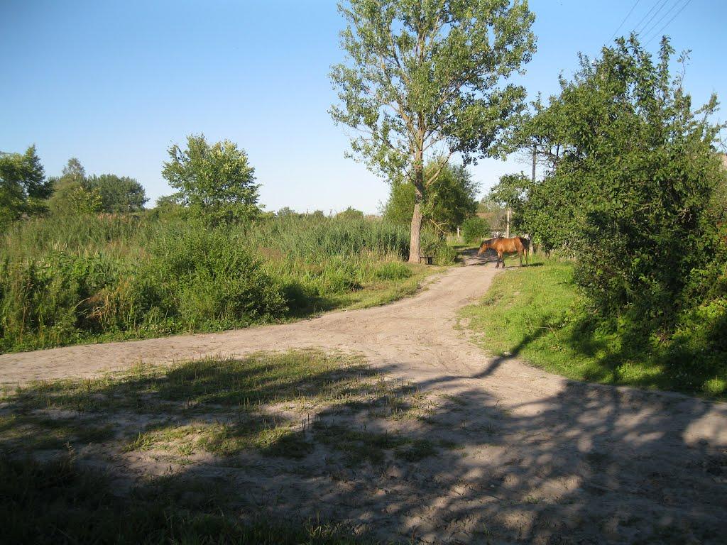 Хотешів з panoramio.com - Хотешів