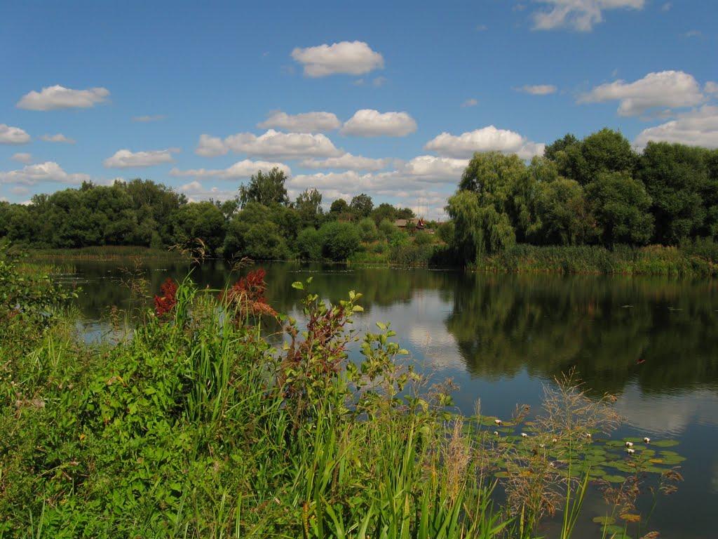 Городня з panoramio.com - Городня