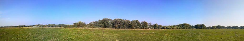 Хорішки з panoramio.com - Хорошки