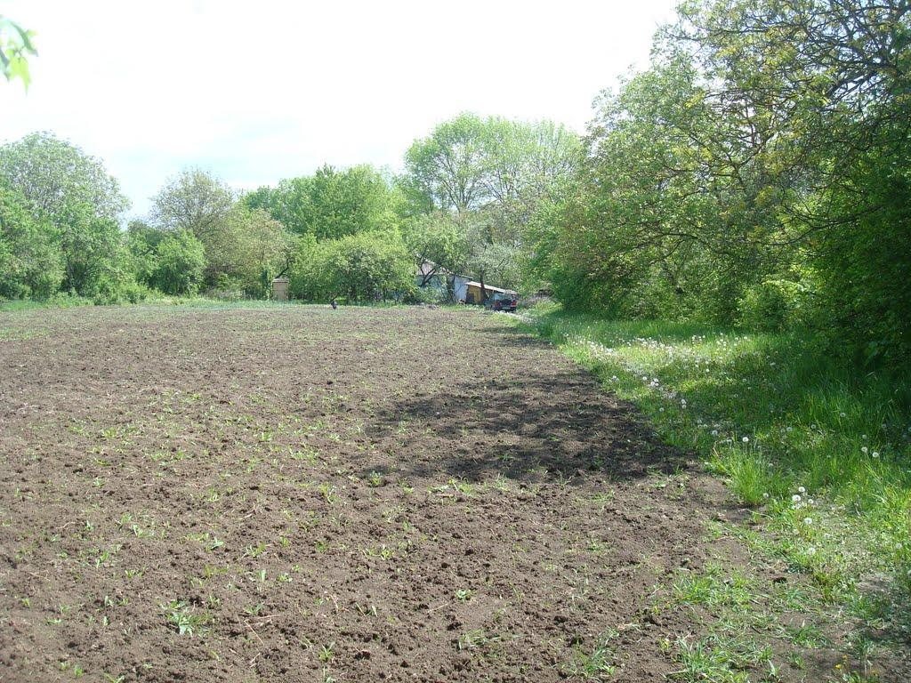 Ставчани з panoramio.com - Ставчаны