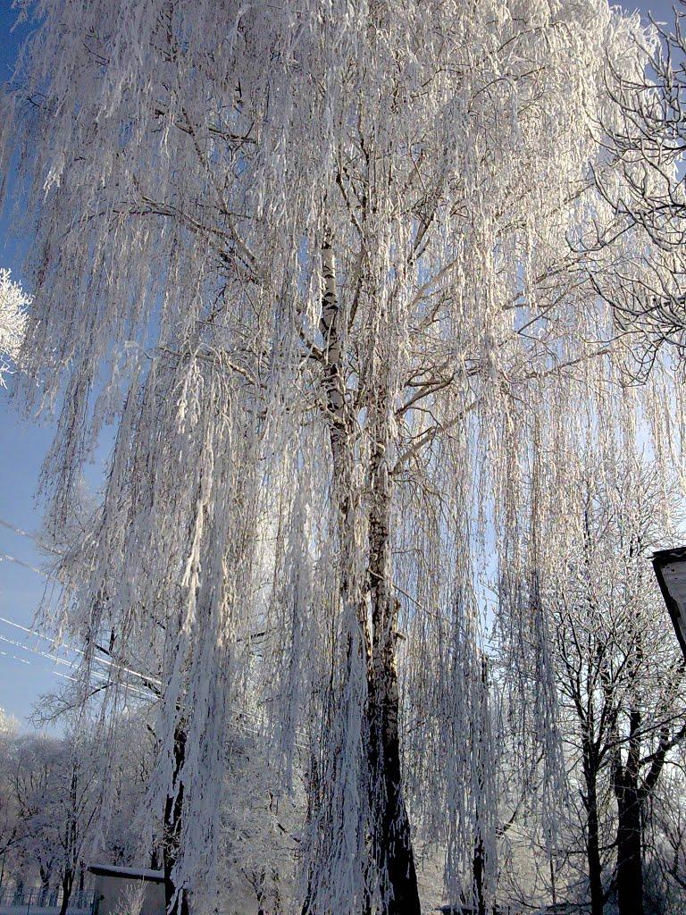 Кролевець з panoramio.com - Кролевец