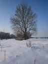 Берездівці з panoramio.com - Berezdivtsi