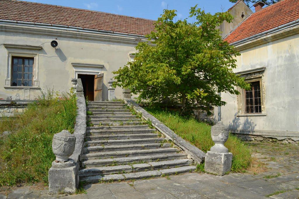 Свірж з panoramio.com - Свирж