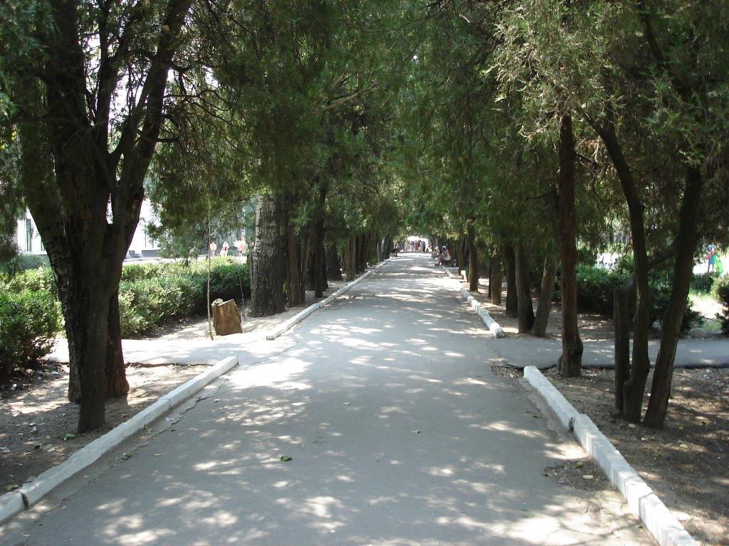 Скадовськ з panoramio.com - Скадовск