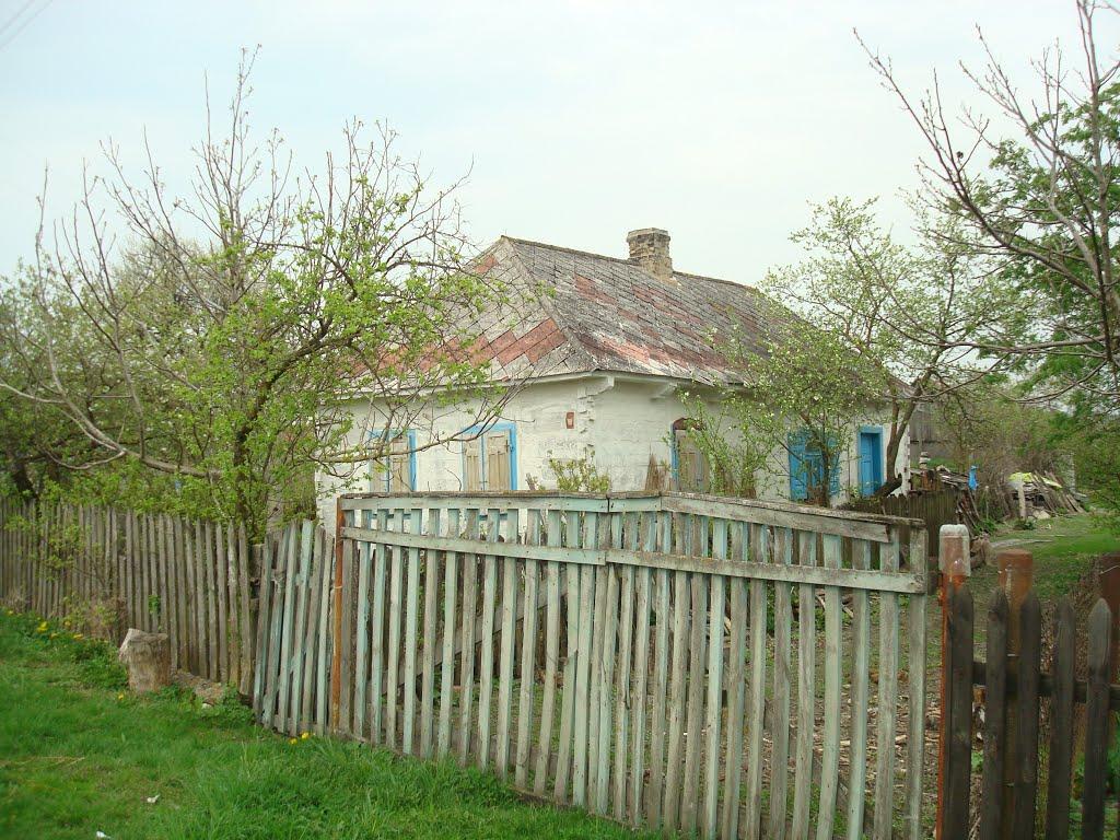 Дроздні з panoramio.com - Дроздні