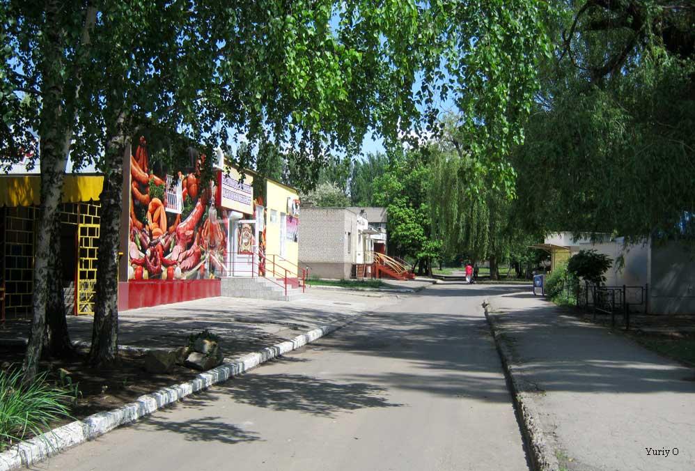 Кам'яне Поле з panoramio.com - Каменное Поле