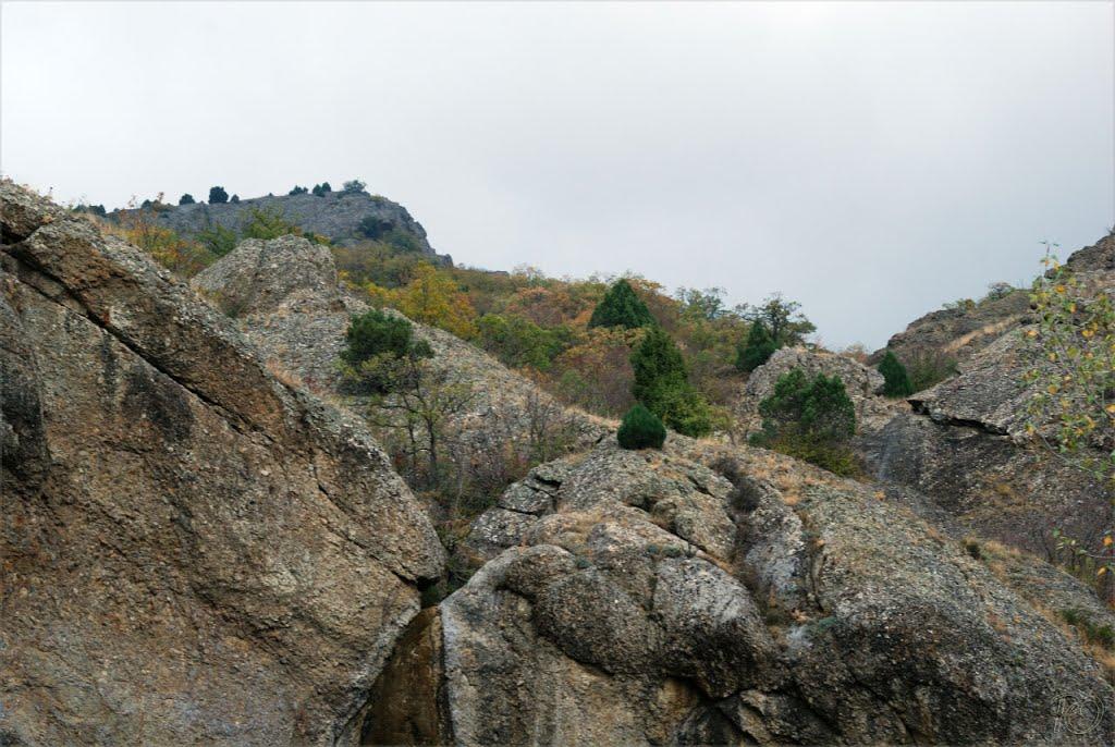Долина з panoramio.com - Долина