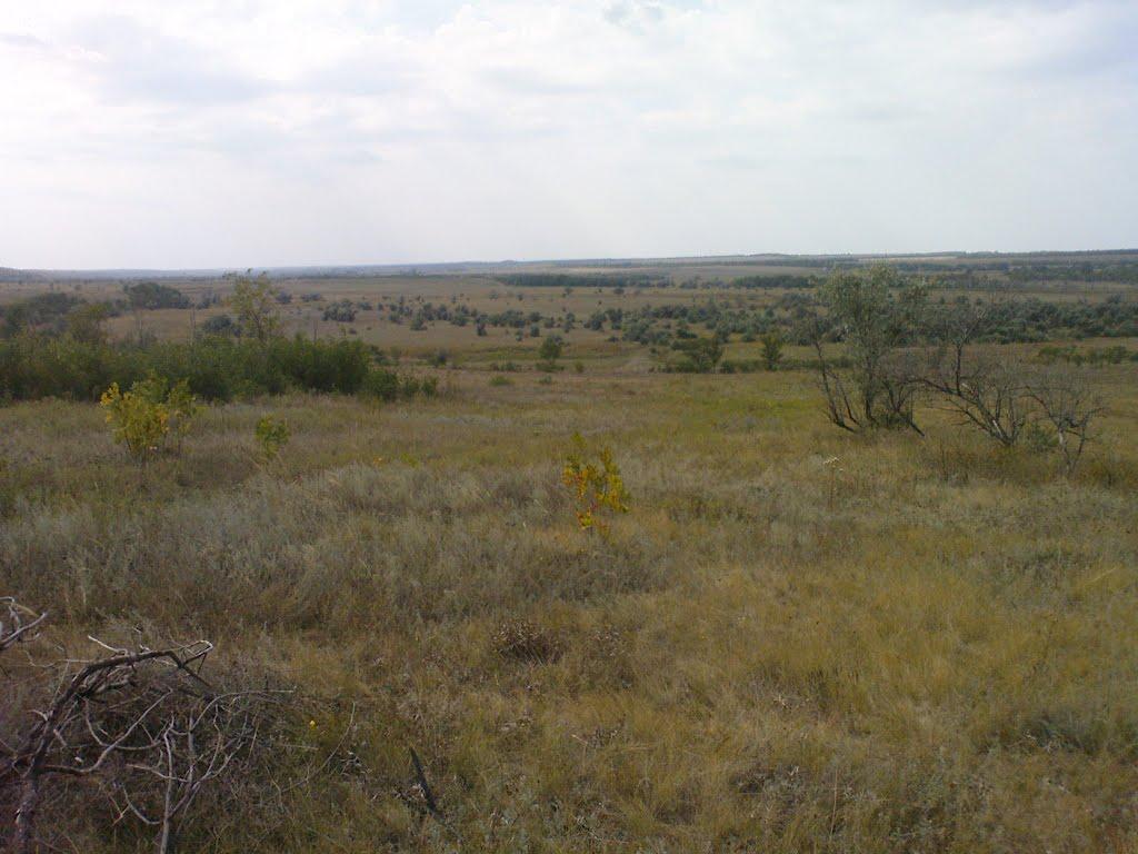 Таврійське з panoramio.com - Таврійське