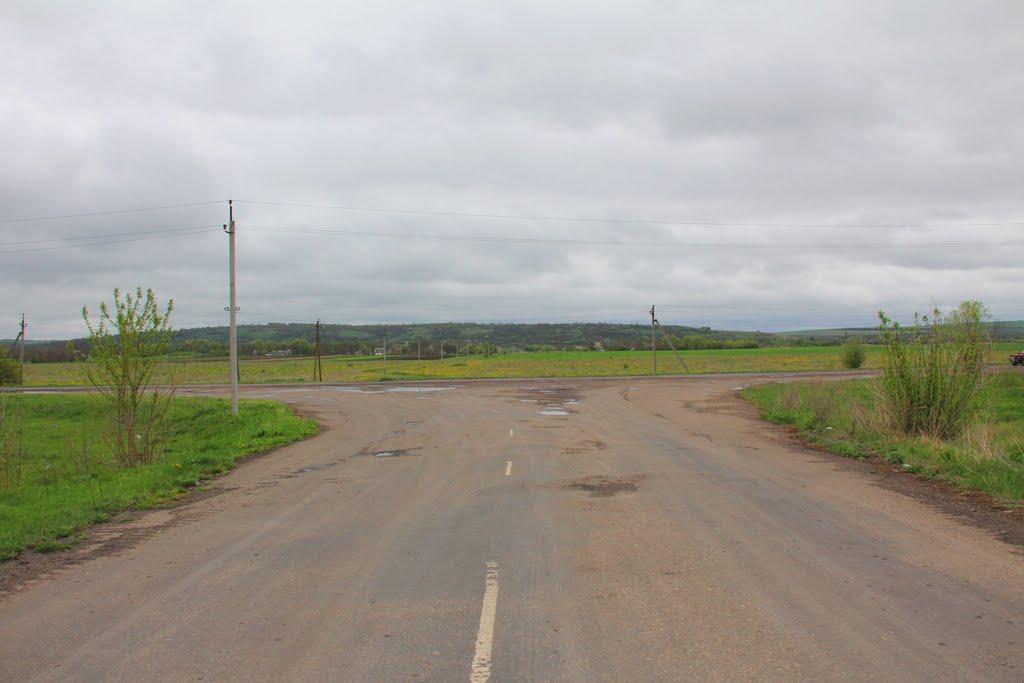 Гвоздавка Друга з panoramio.com - Гвоздавка Вторая