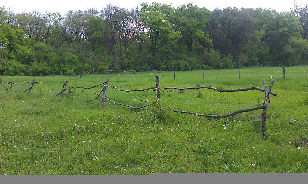 Єнакієве з panoramio.com (ч.3) - Енакиево