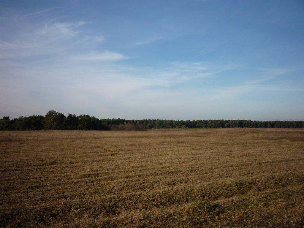 Радошівка з panoramio.com - Радошевка