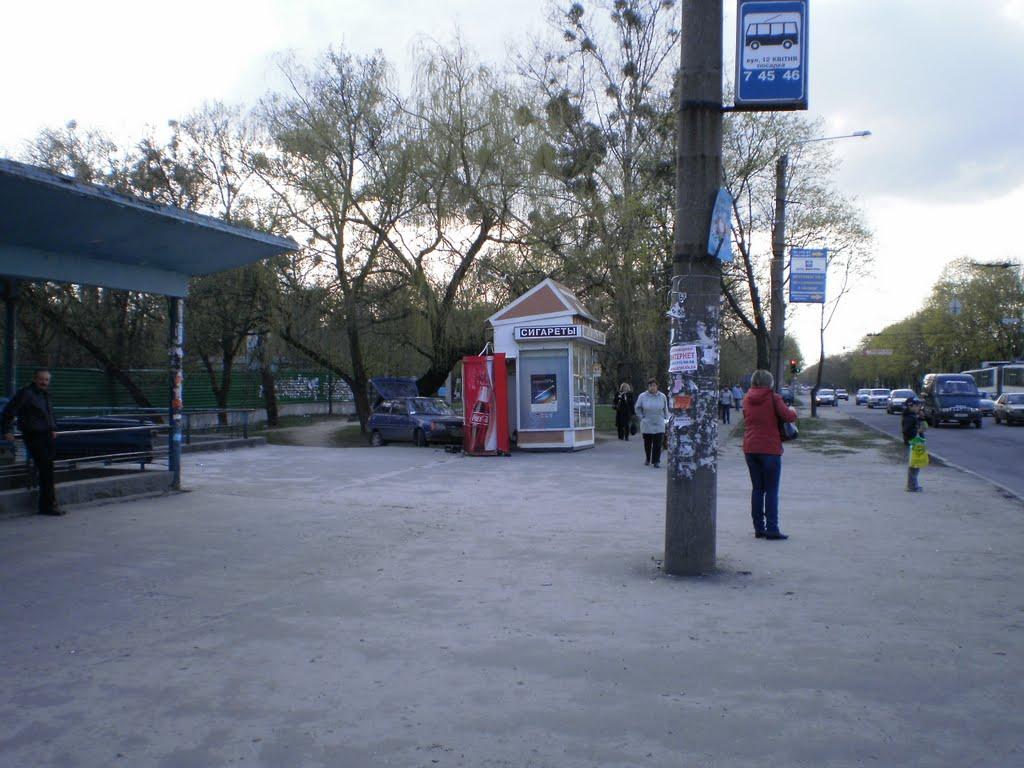 Затишшя з panoramio.com - Затишье