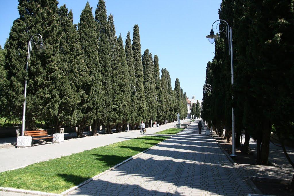 Голуба Затока з panoramio.com (ч.2) - Голубая Затока