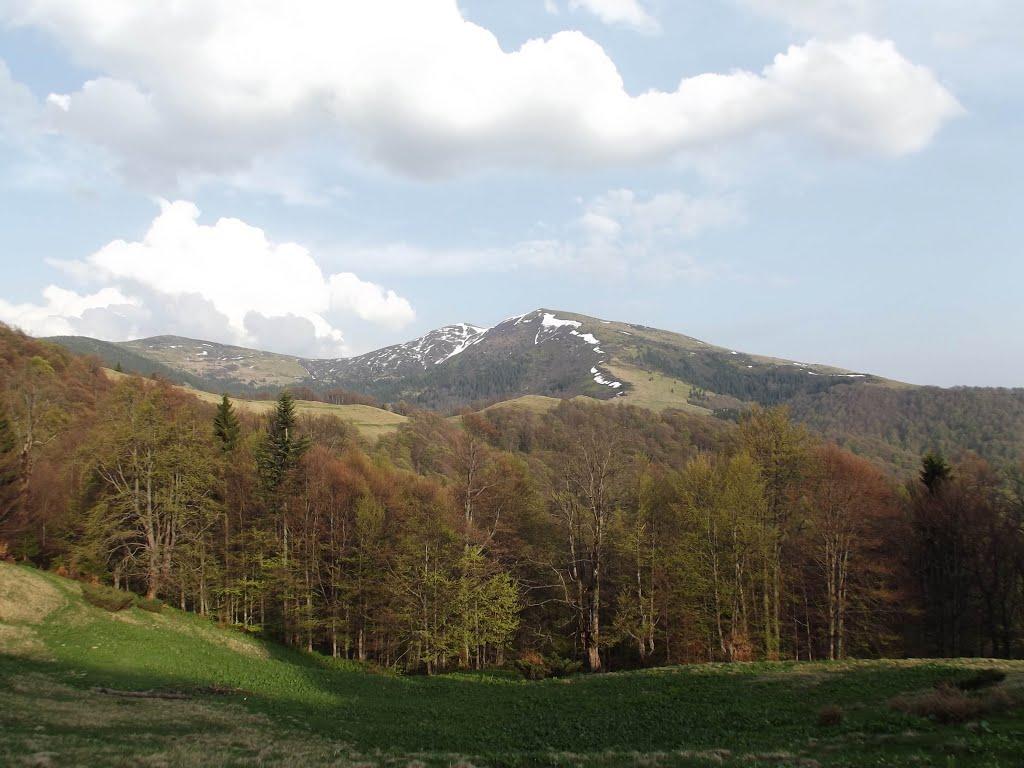 Кваси з panoramio.com - Квасы