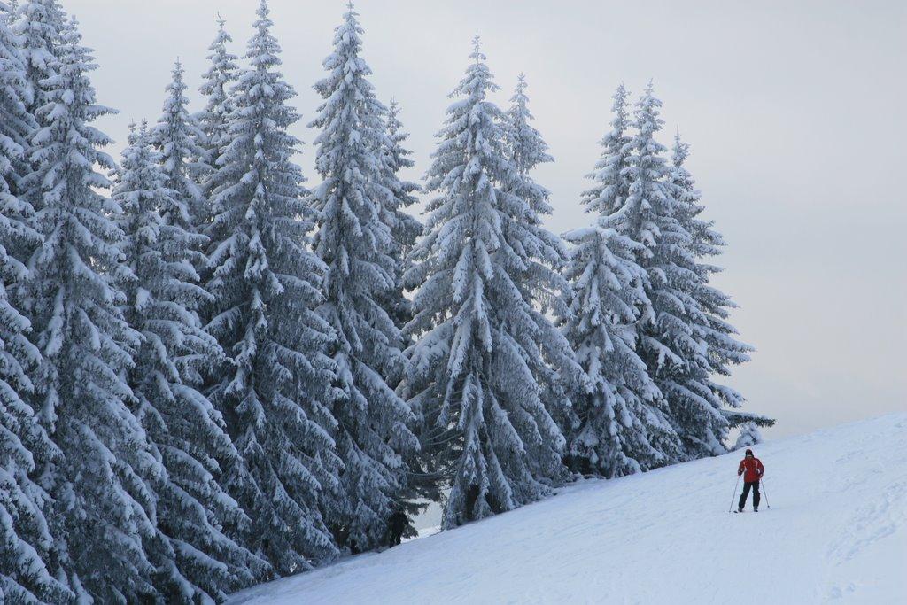 Стебний з panoramio.com - Stebnyy